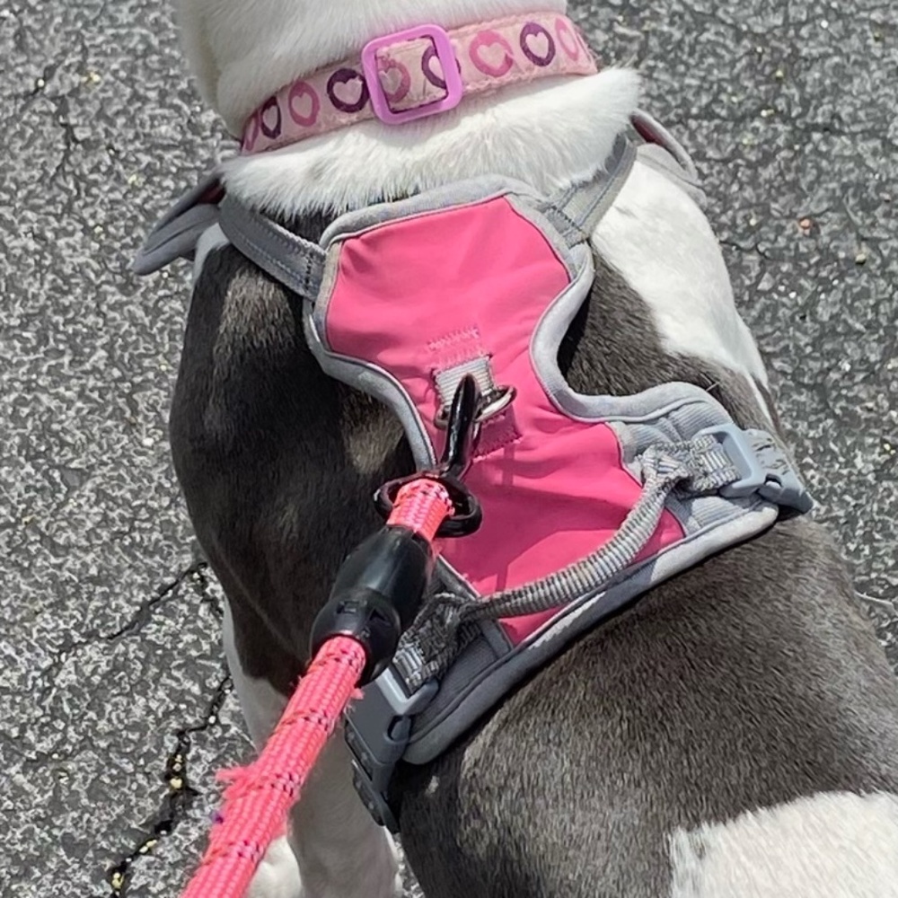 Dog Harness - size medium